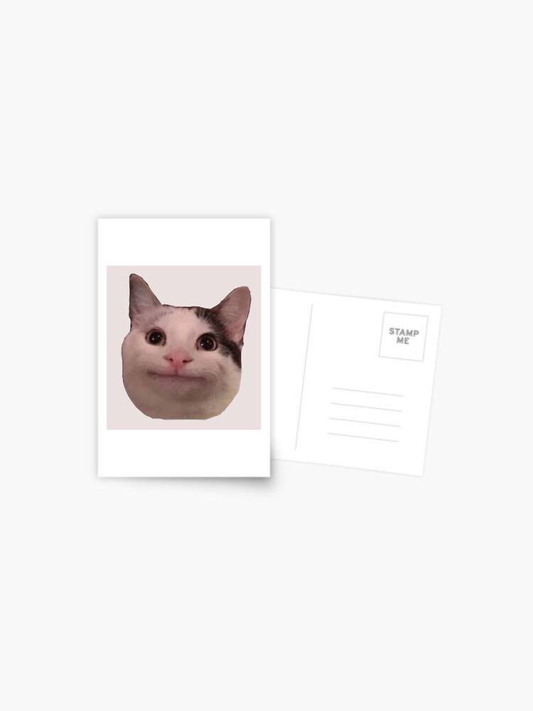 Beluga cat, Beluga Cat Meme, Meme Sticker for Sale by graphic