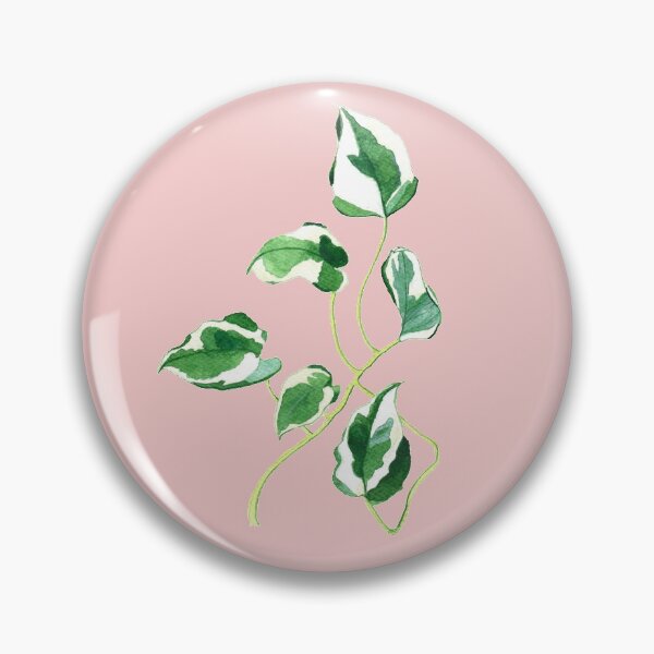 Item preview, Variegated Pothos designed and sold by Akadeliana.