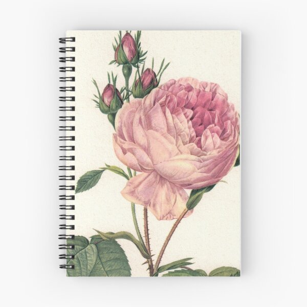Item preview, Lovely Pink Rose designed and sold by Studio66Designs.
