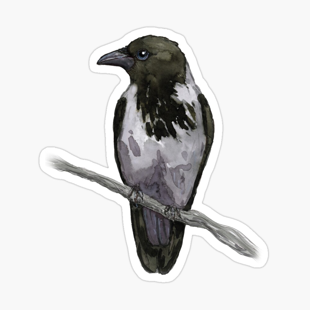 Bold line drawing of a crow sitting atop a skull