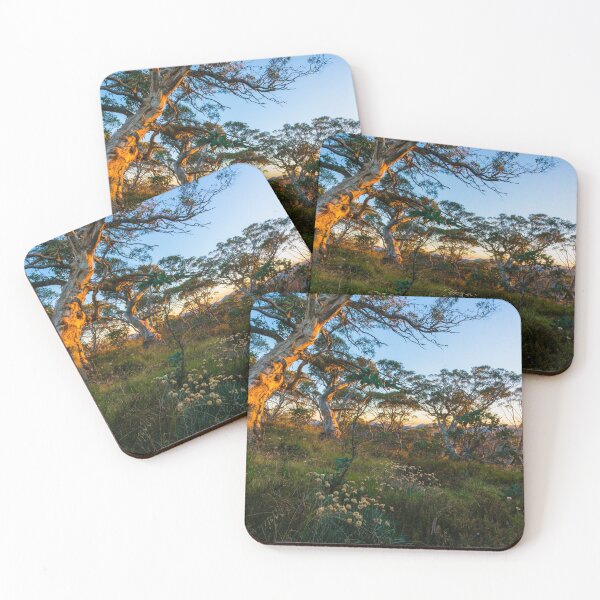Item preview, Snow Gum Sunrise designed and sold by Toddy4x4.