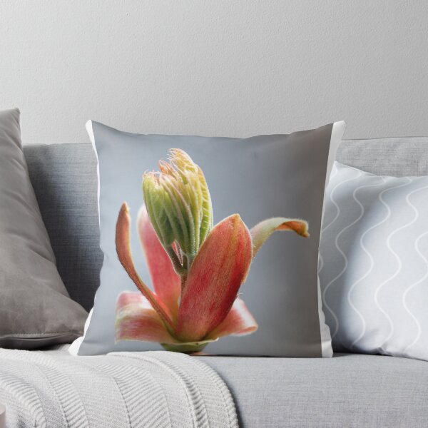 Artikelvorschau, Budding Maple - Memories of Spring entworfen und verkauft von Barry Doherty.
