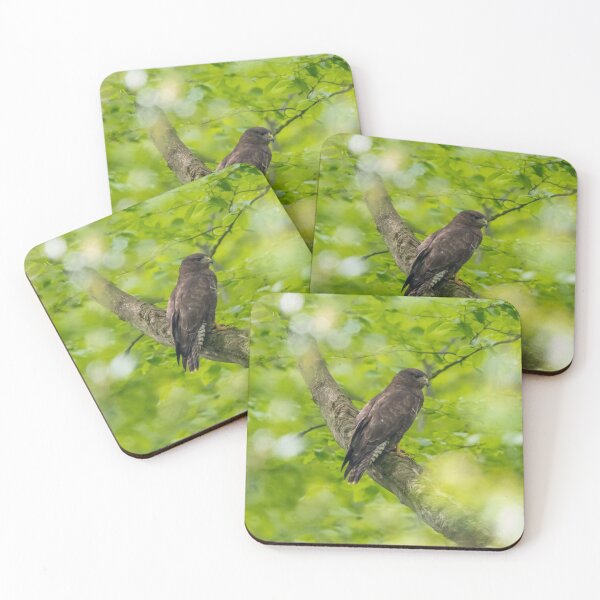 Item preview, Stunning Buzzard photo designed and sold by LaHickmana.