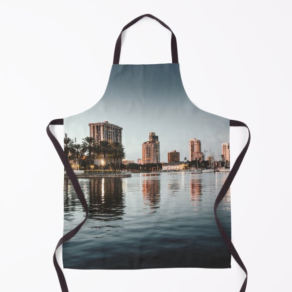 Item preview, skyline of tampa at dusk designed and sold by franckreporter.