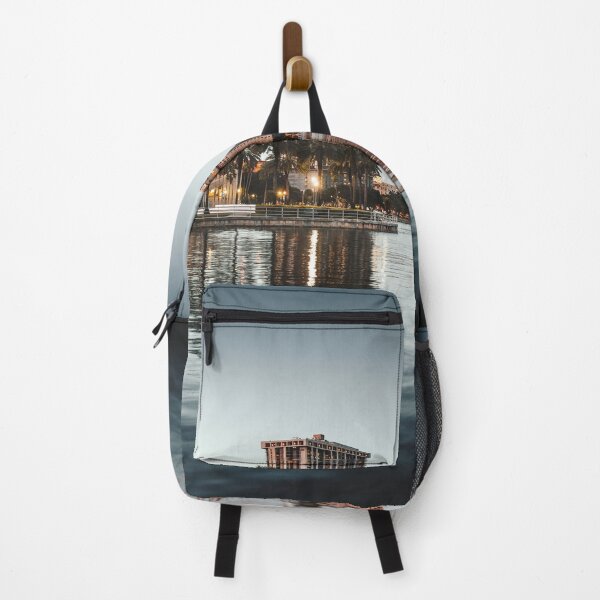 Item preview, skyline of tampa at dusk designed and sold by franckreporter.