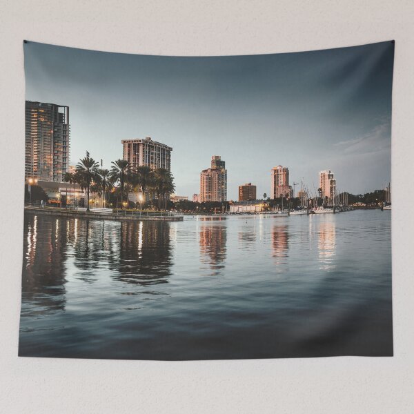 Item preview, skyline of tampa at dusk designed and sold by franckreporter.