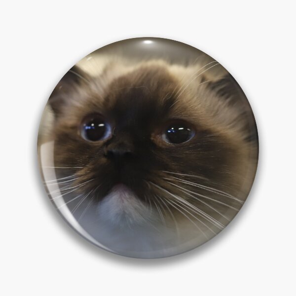 Item preview, Cat designed and sold by ART-SUNRISE.