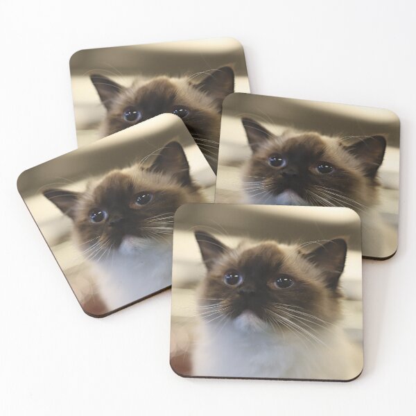 Item preview, Cat designed and sold by ART-SUNRISE.