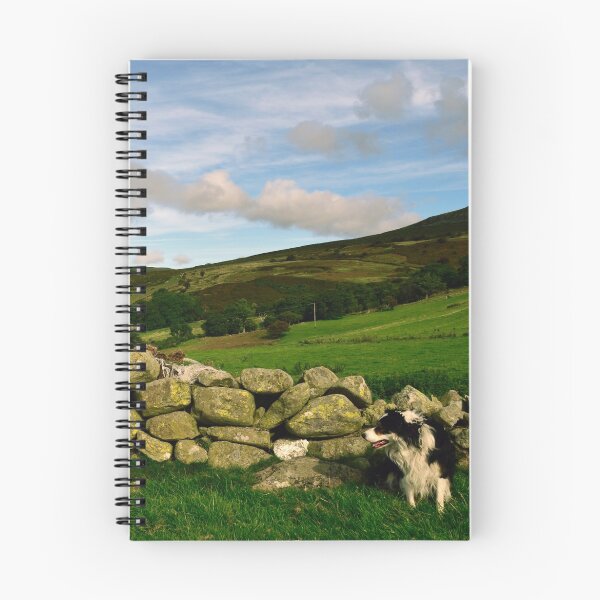 Item preview, Laddie in Wonderland. designed and sold by Michael Haslam.