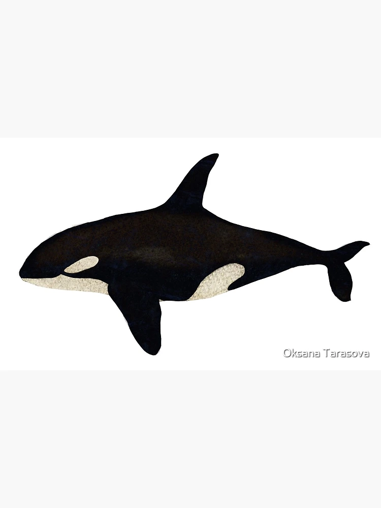 Orca Killer Whale Rainbow Retro Love Stainless Steel Water Bottle