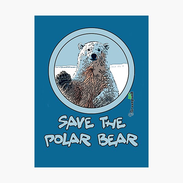"Save the polar bear" Photographic Print for Sale by greenpunkart