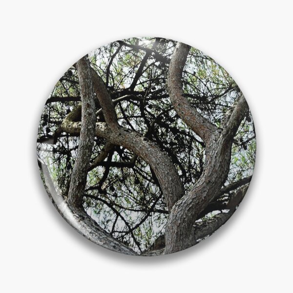 Item preview, Mediterranean Pine Tree Branches Canopy designed and sold by Anna Lemos.