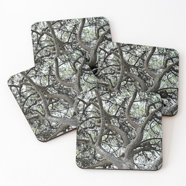 Item preview, Mediterranean Pine Tree Branches Canopy designed and sold by Anna Lemos.