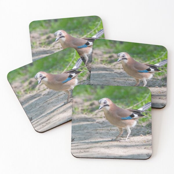 Item preview, Colourful jay designed and sold by LaHickmana.