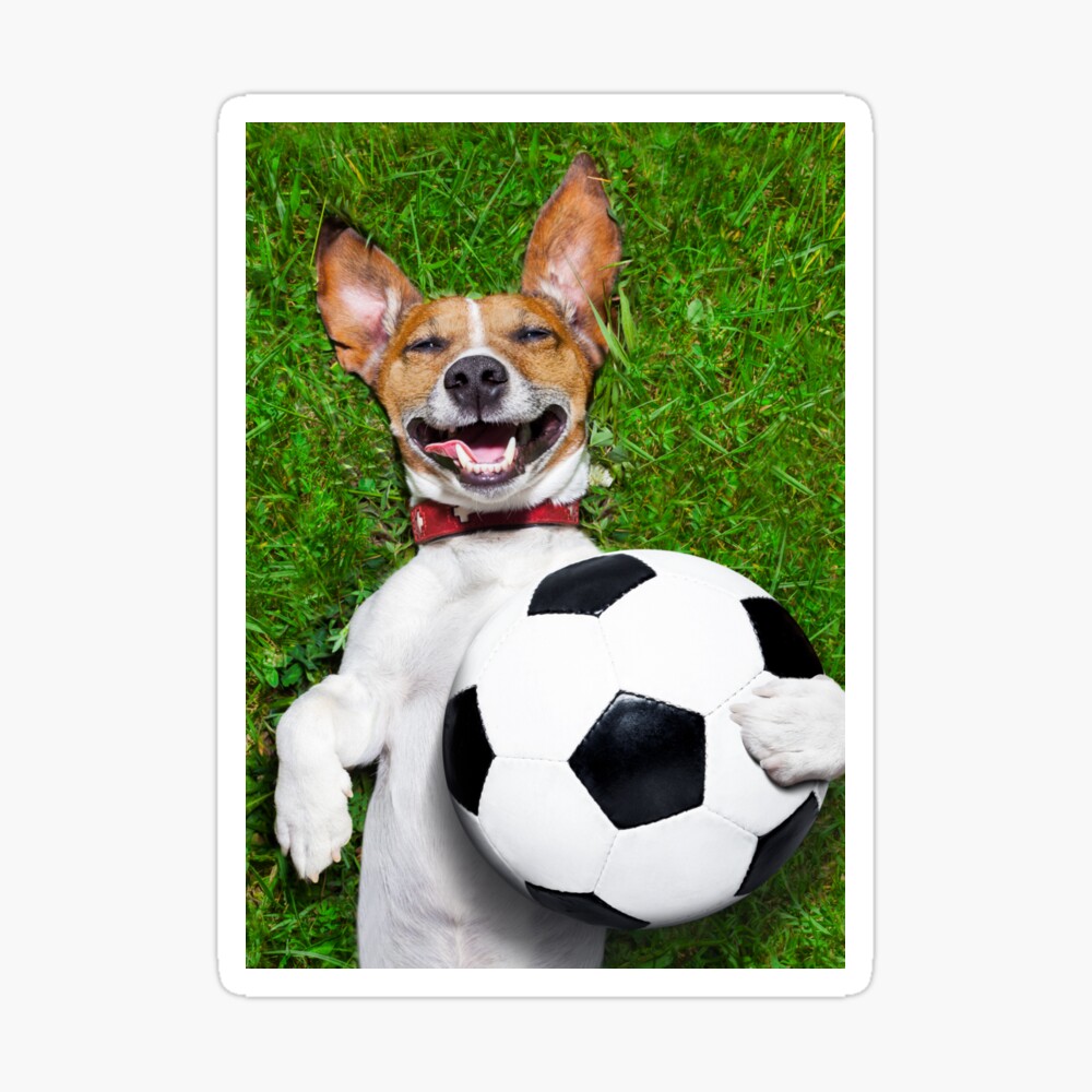 Dog Football Game Day Funny Team Sports Soccer' Sticker