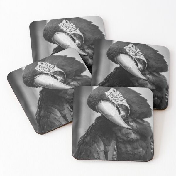 Item preview, monochrome parrot designed and sold by Perggals© - Stacey Turner.