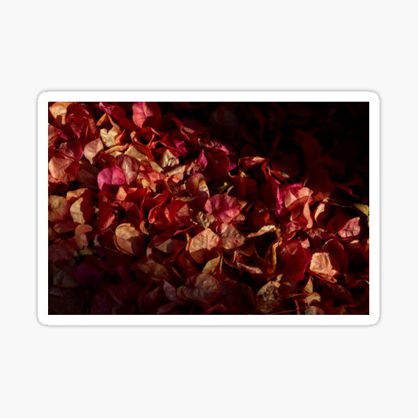 Item preview, Fallen Bougainvillea Flowers designed and sold by AngeloDeVal.