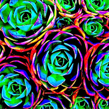 Artwork thumbnail, Fantasy Roses by TheNightBird