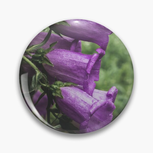 Item preview, Purple Canterbury Bells Flower designed and sold by PaulinaChmiel.