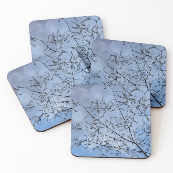 Item preview, Graceful Lace in the Sky - Mimosa Leaves and Buds Against Dusk Clouds - Horizontal View Upwards Right designed and sold by Georgia Mizuleva.