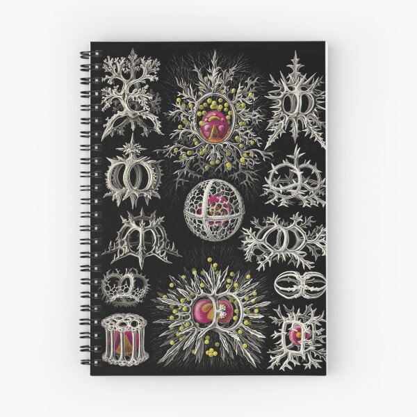 Item preview, Art Forms of Nature - Stephoidea designed and sold by CosmicStyles.