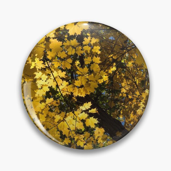 Item preview, Golden Canopy - Look Up to the Trees and Enjoy Autumn - Vertical Right designed and sold by Georgia Mizuleva.