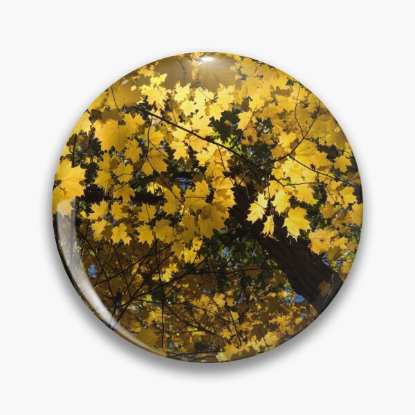 Item preview, Golden Canopy - Look Up to the Trees and Enjoy Autumn - Horizontal Right designed and sold by Georgia Mizuleva.