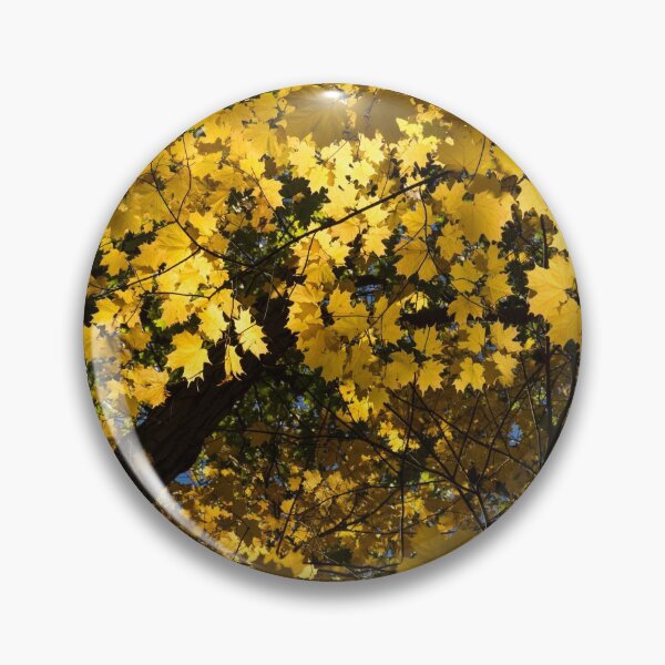 Item preview, Golden Canopy - Look Up to the Trees and Enjoy Autumn - Horizontal Left designed and sold by Georgia Mizuleva.