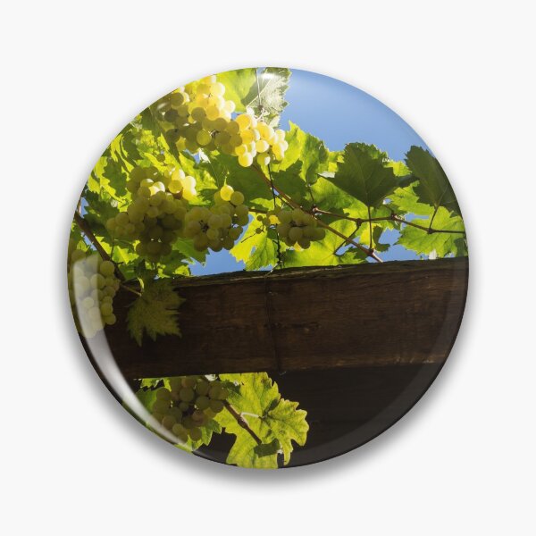 Item preview, Overhead Grape Harvest - Summertime Dreaming of Fine Wines designed and sold by Georgia Mizuleva.