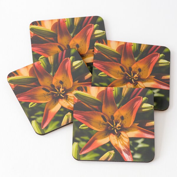 Item preview, Asiatic Orange and Red Lily Flower Tropical Flower designed and sold by PaulinaChmiel.