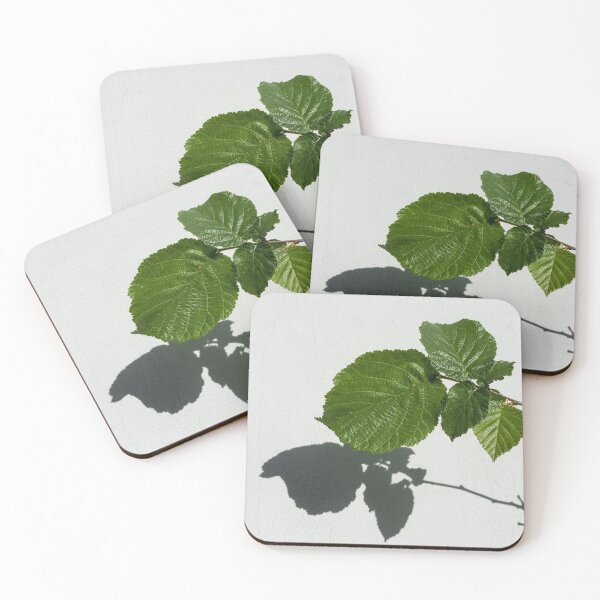 Item preview, Sophisticated Shadows - Glossy Hazelnut Leaves on White Stucco - Horizontal View Left Upwards designed and sold by Georgia Mizuleva.