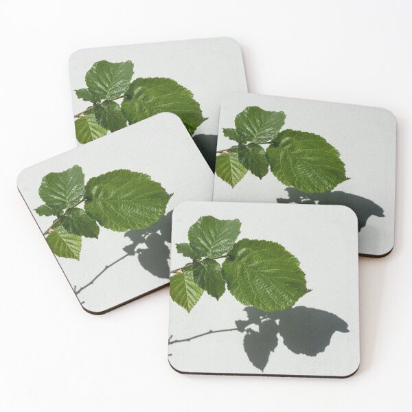 Item preview, Sophisticated Shadows - Glossy Hazelnut Leaves on White Stucco - Horizontal View Right Upwards designed and sold by Georgia Mizuleva.