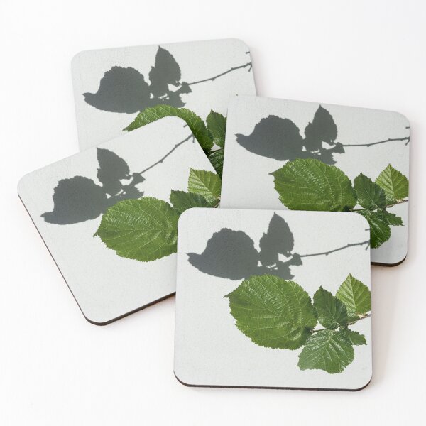 Item preview, Sophisticated Shadows - Glossy Hazelnut Leaves on White Stucco - Horizontal View Right Down designed and sold by Georgia Mizuleva.