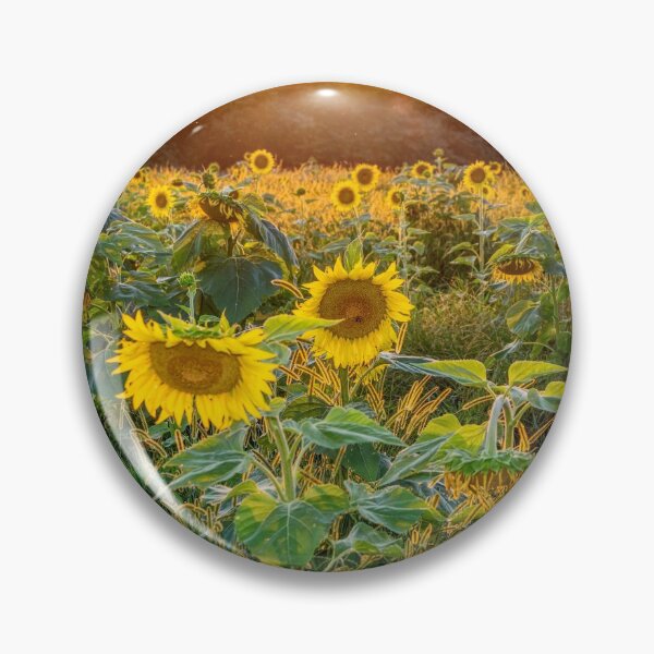Item preview, Field Of Golden Sunflowers designed and sold by mljdwhite.