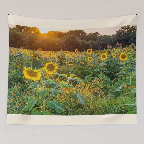 Item preview, Field Of Golden Sunflowers designed and sold by mljdwhite.