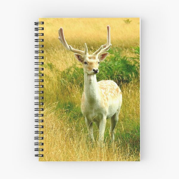Item preview, Fallow Stag in the Clearing designed and sold by Barnbk02.