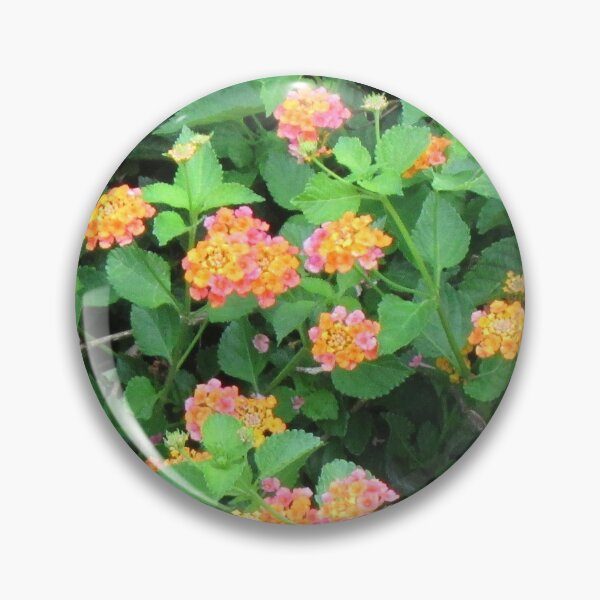 Item preview, Colorful Flowers designed and sold by Fancy-Flair.