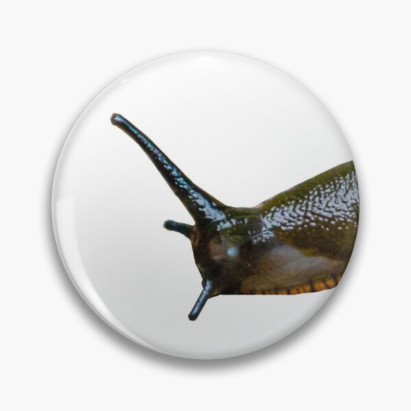 Item preview, Black Slug thinking about eating our greens designed and sold by Dalyndigital Photography.
