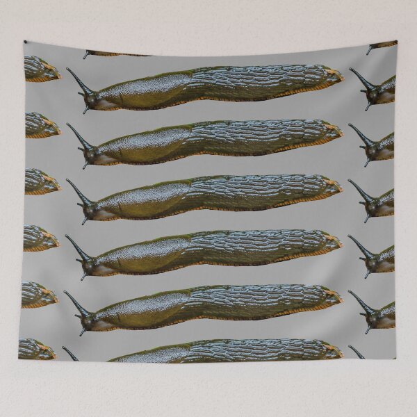 Item preview, Black Slug thinking about eating our greens designed and sold by Dalyndigital Photography.