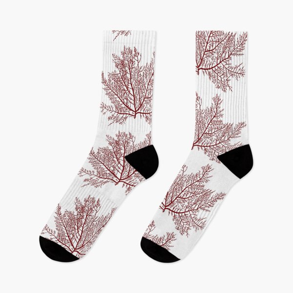 Item preview, Gelidium or Chaetangium - a genus of thalloid red algae designed and sold by Familyshmot.
