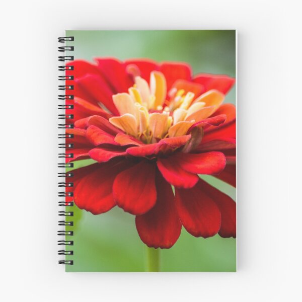 Item preview, Bursts of Color designed and sold by Parker Cunningham.