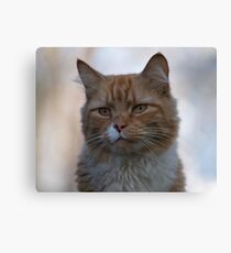 Not Happy about Posing Canvas Print