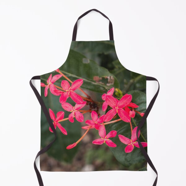 Artikelvorschau, Tropisches Rosenepidendrum entworfen und verkauft von PBE-Store.