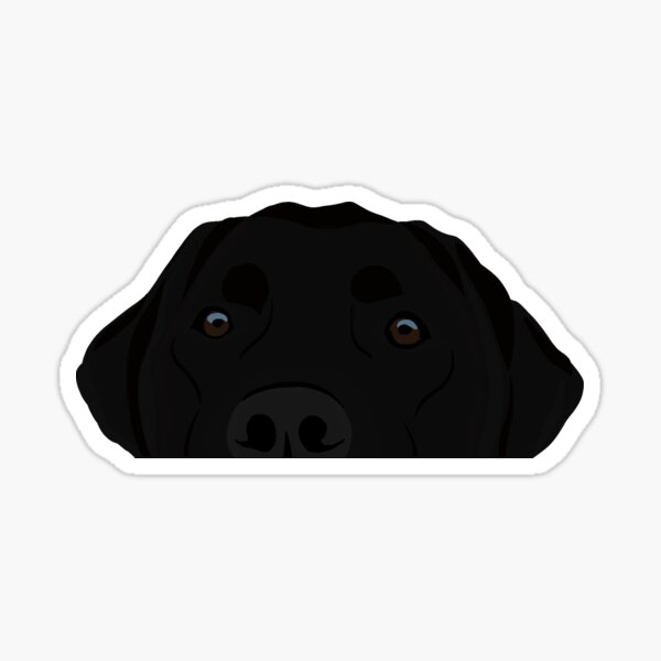 Item preview, Curious Black Labrador designed and sold by kherrin.