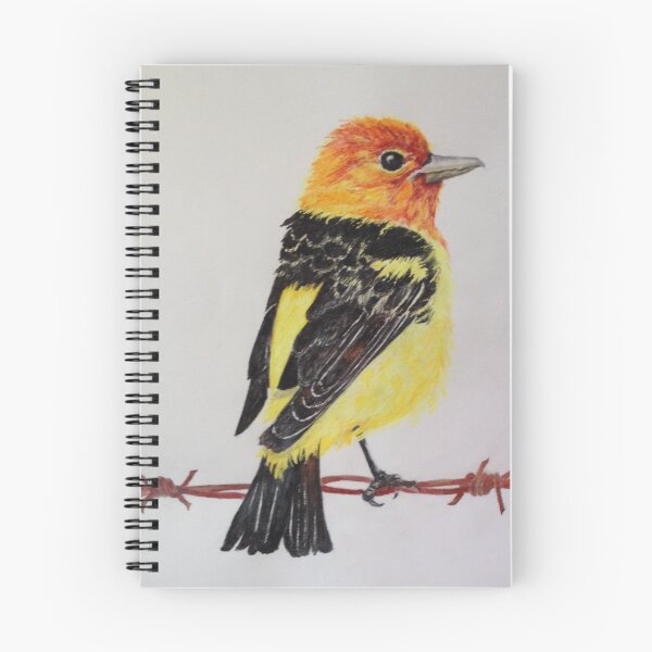 Artikelvorschau, Westlicher Tanager entworfen und verkauft von drawmama.