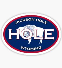 Jackson Hole Wyoming! Bison design Sticker