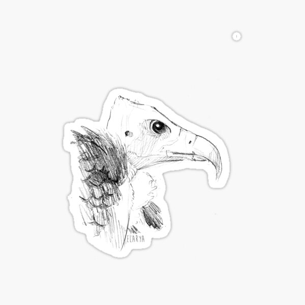 Croquis de vautour Sticker