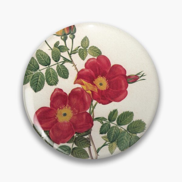 Item preview, Stunning Red Roses designed and sold by Studio66Designs.