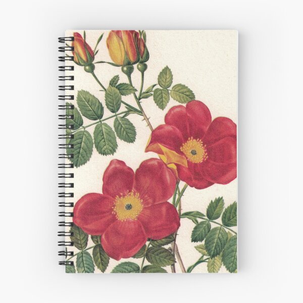 Item preview, Stunning Red Roses designed and sold by Studio66Designs.