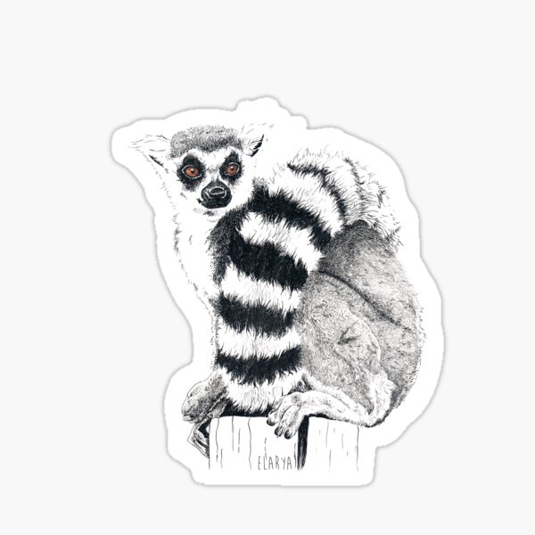 Un Lémurien Sticker